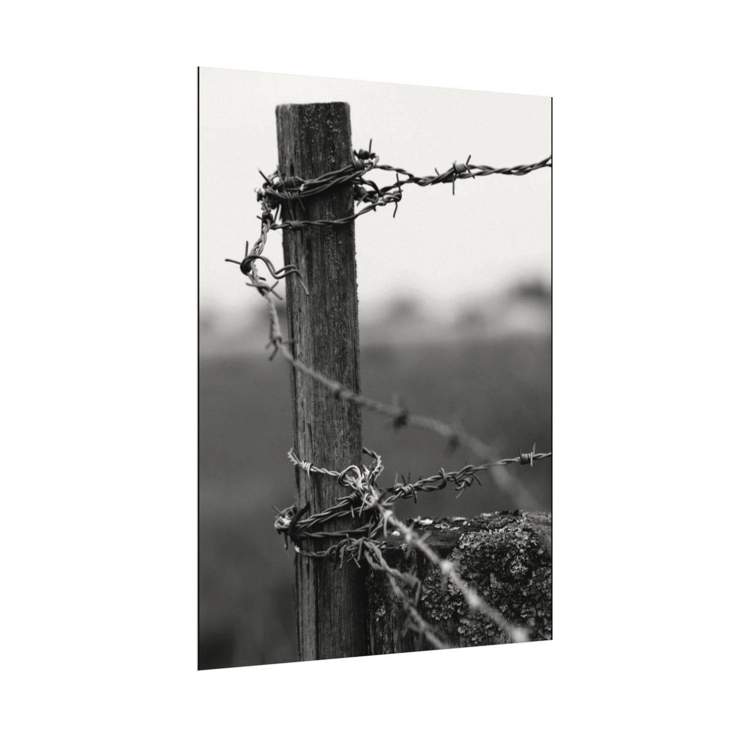 Tough As Nails – Western Textured Watercolor Matte Posters