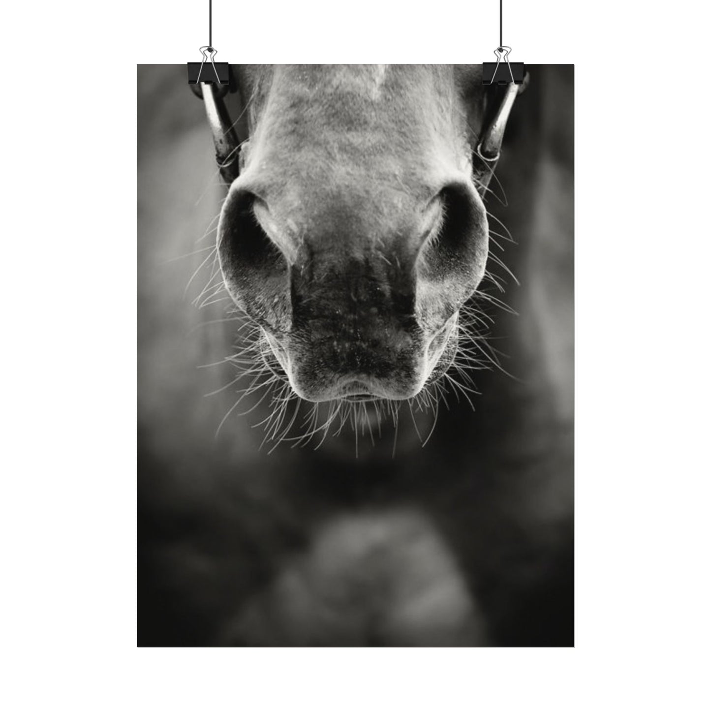 Be Patient Be Still – Western Textured Watercolor Matte Posters