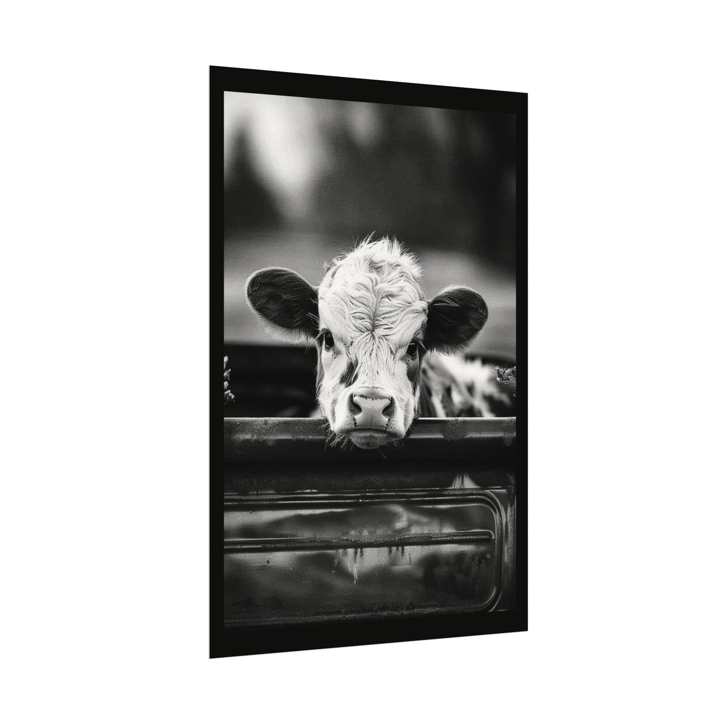 Back Seat Bovine – Western Textured Watercolor Matte Posters