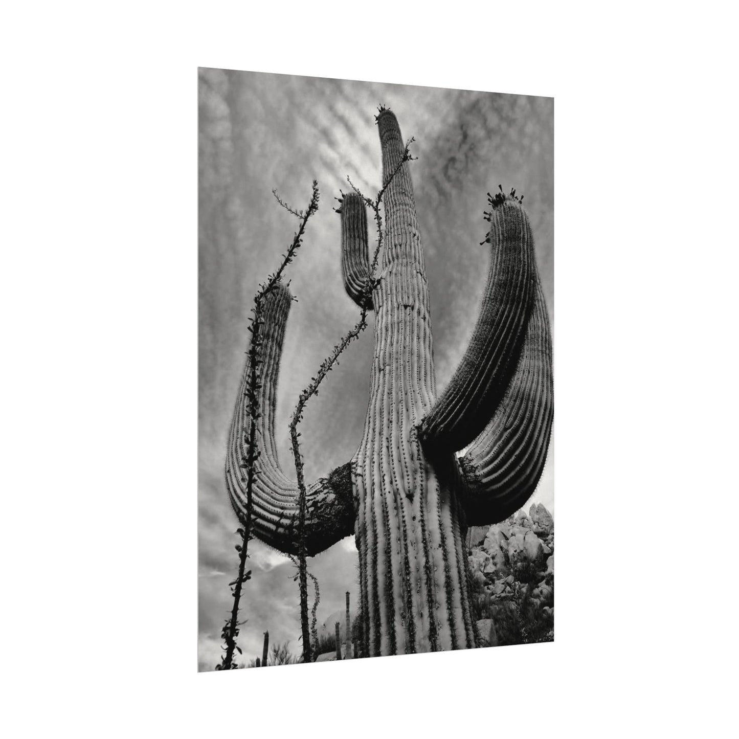 Desert Heights – Western Textured Watercolor Matte Posters