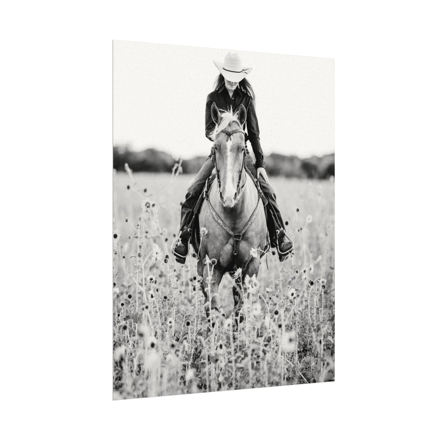 Summer Fields – Western Textured Watercolor Matte Posters