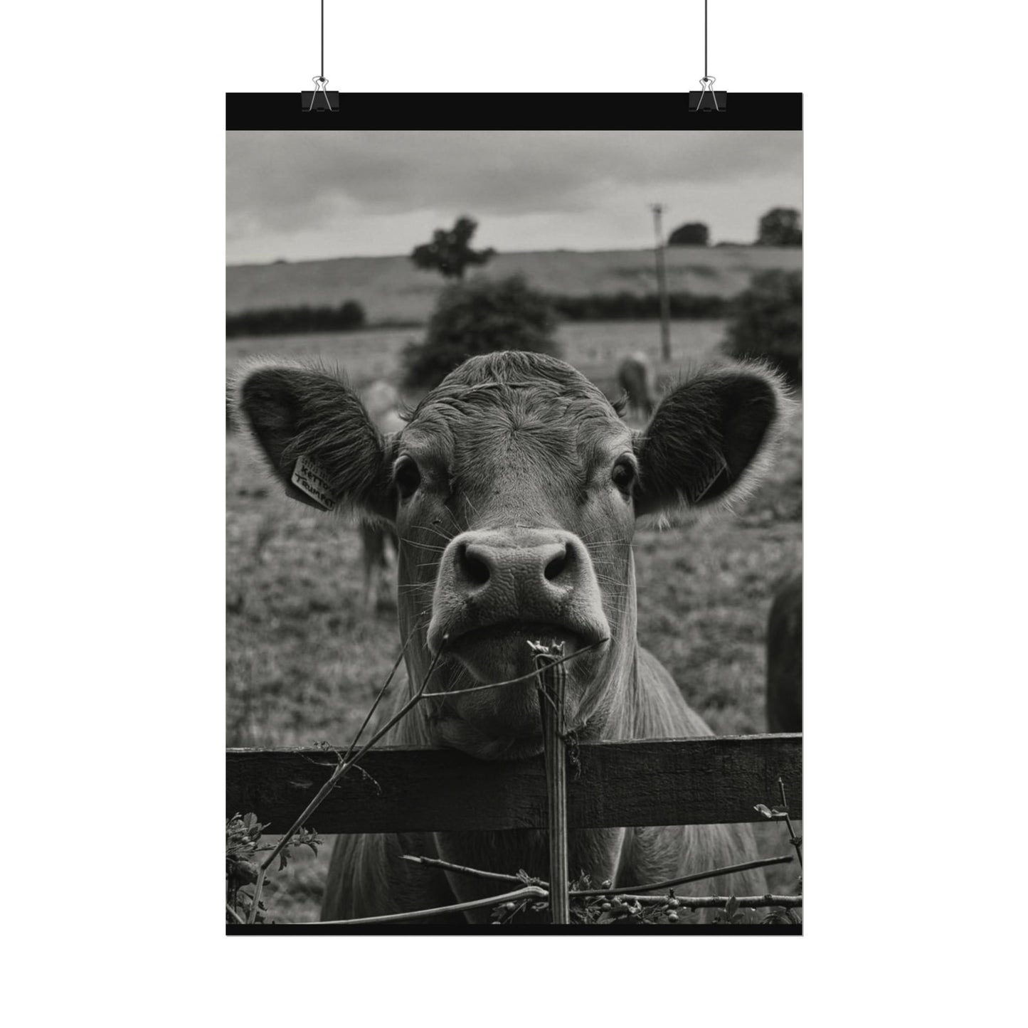 Rise & Shine – Western Textured Watercolor Matte Posters