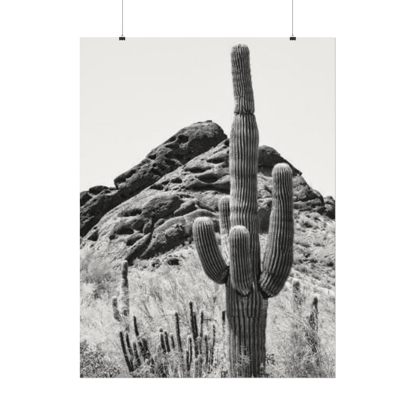 Reach For The Sky – Western Textured Watercolor Matte Posters