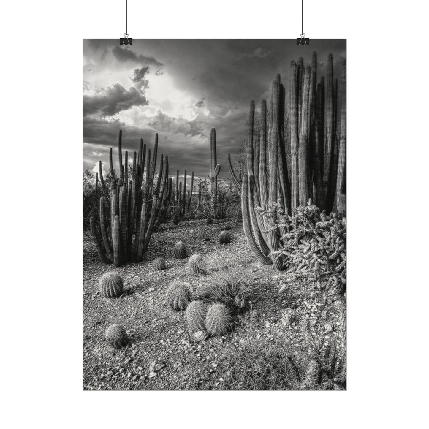 Desert Wastelands – Western Textured Watercolor Matte Posters
