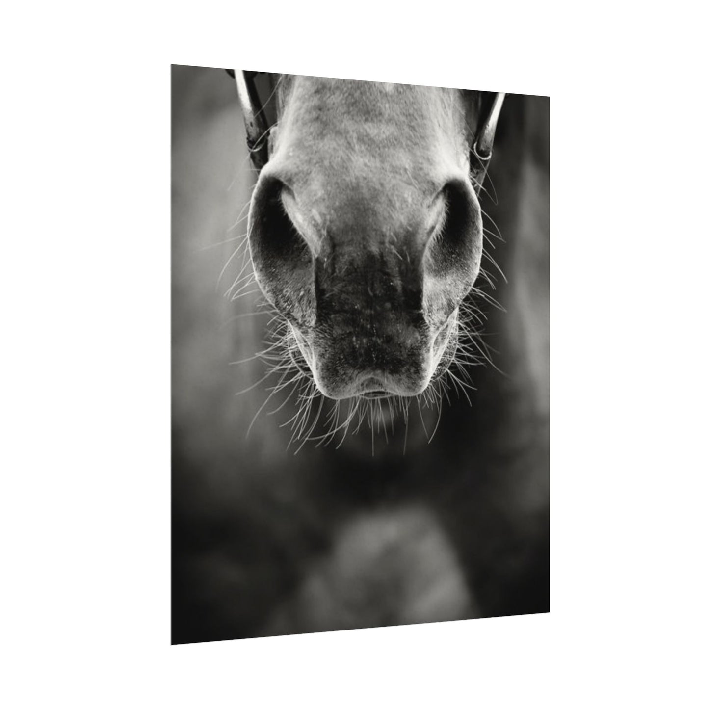 Be Patient Be Still – Western Textured Watercolor Matte Posters