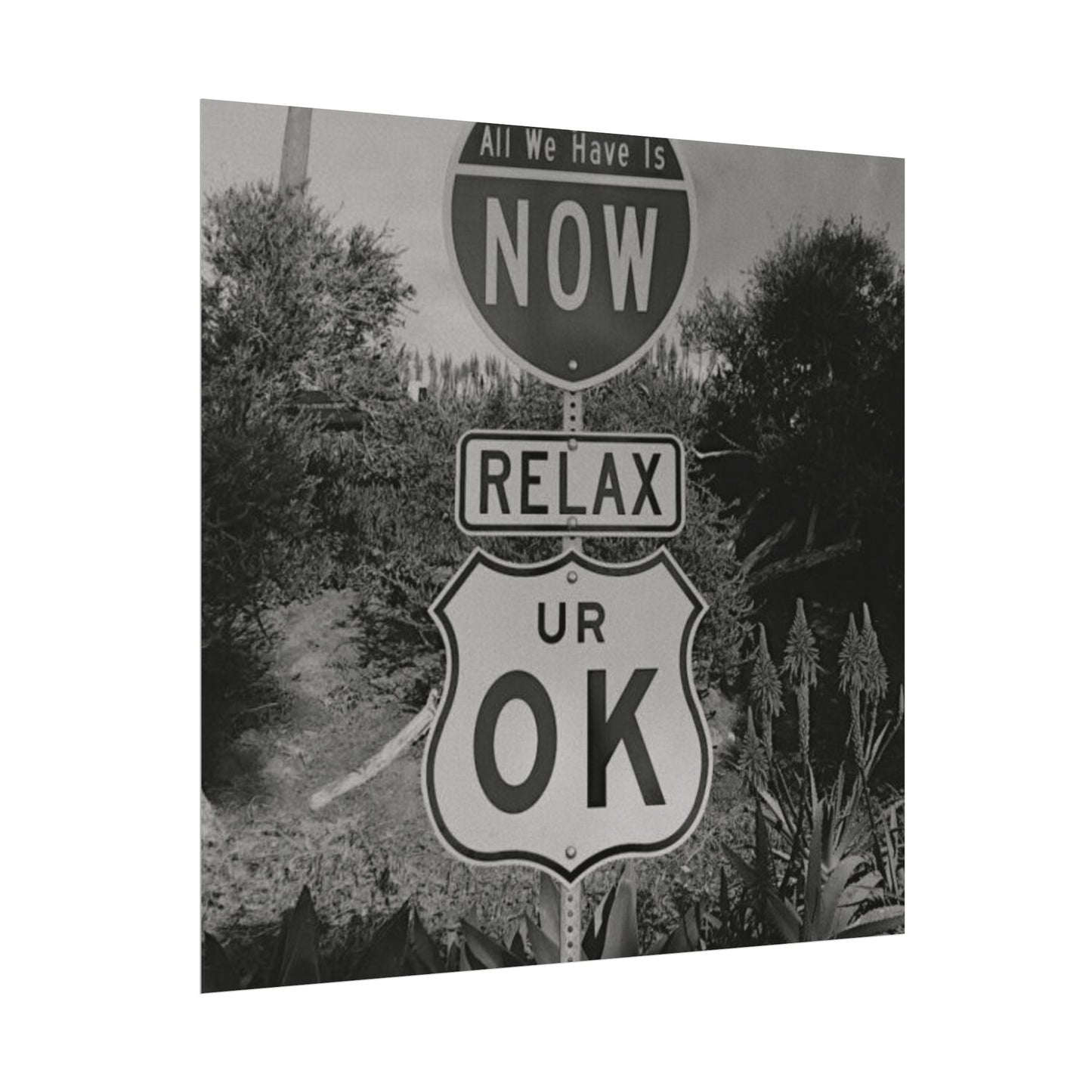 Here's Your Sign Textured Desert Watercolor Matte Posters