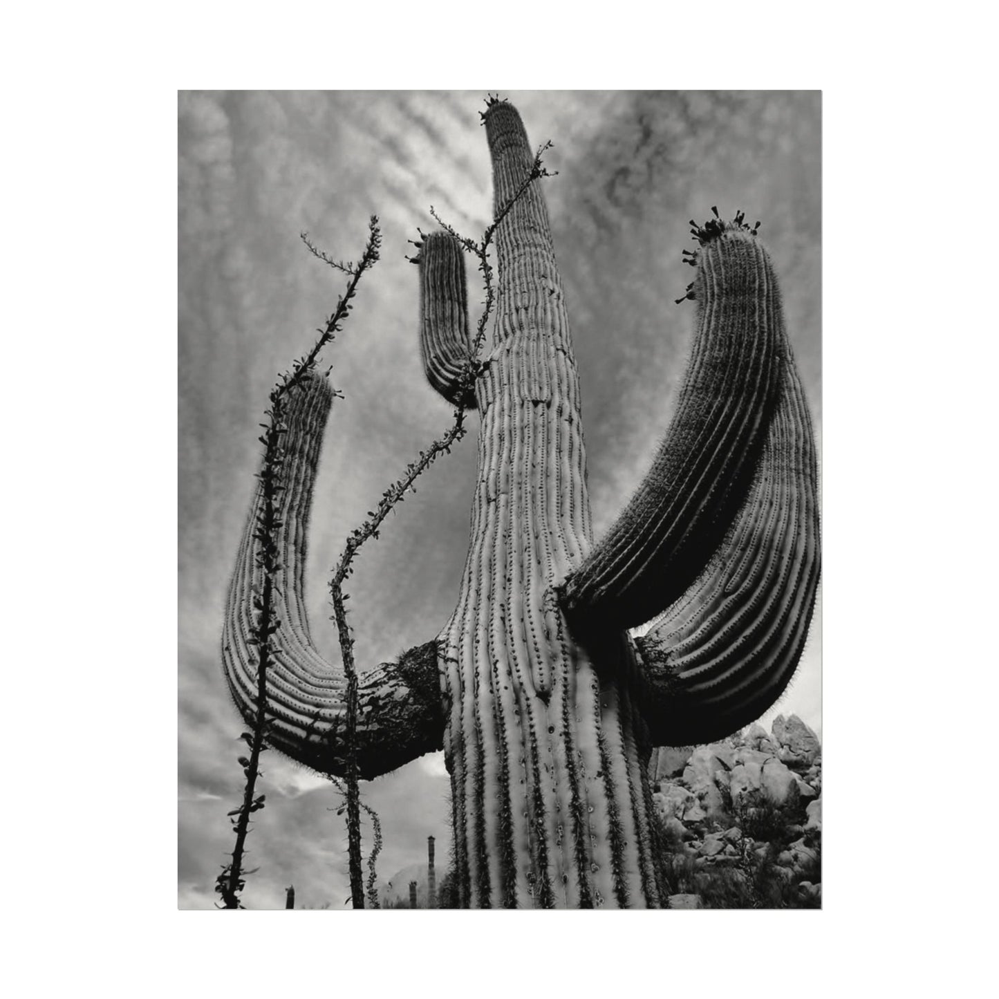 Desert Heights – Western Textured Watercolor Matte Posters