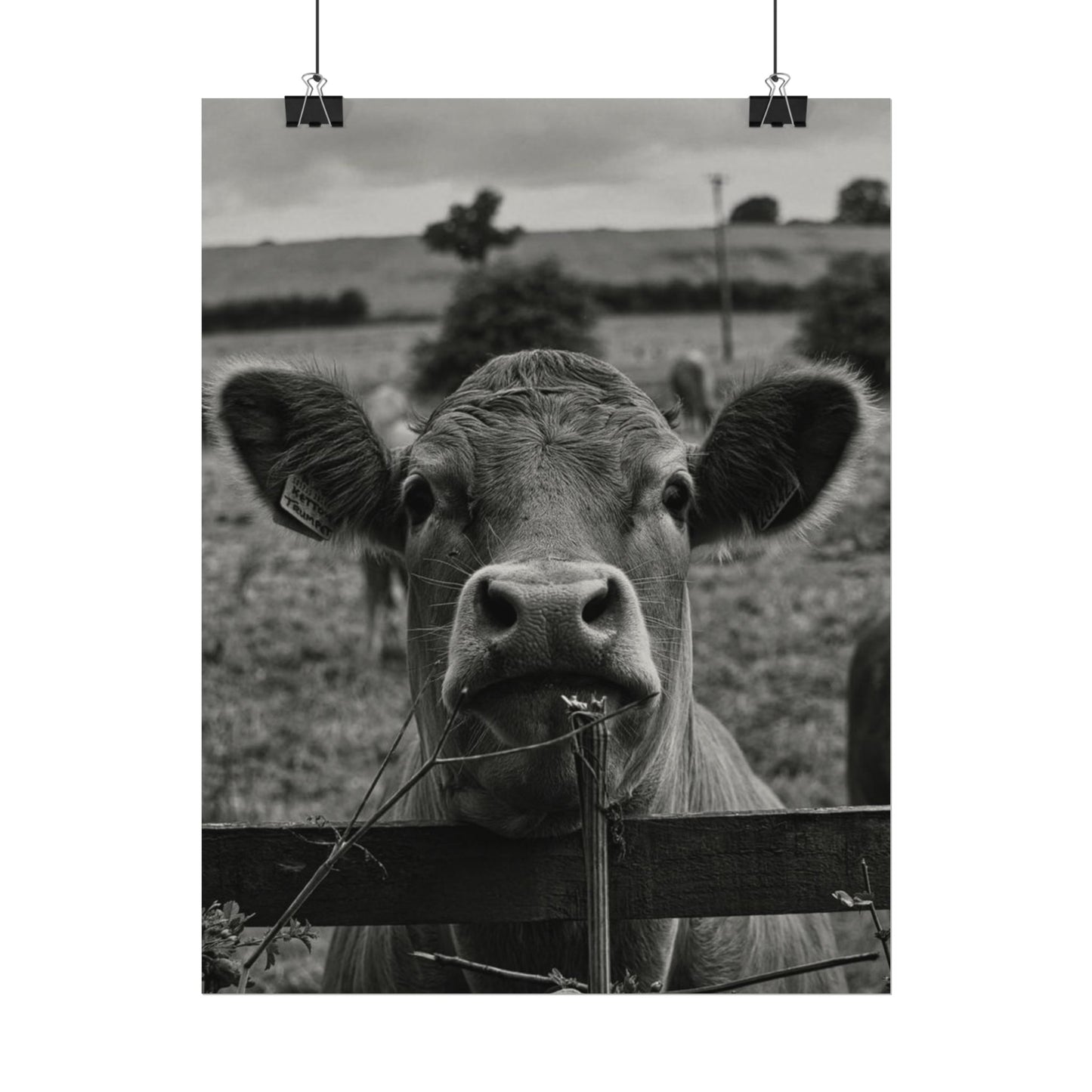 Rise & Shine – Western Textured Watercolor Matte Posters