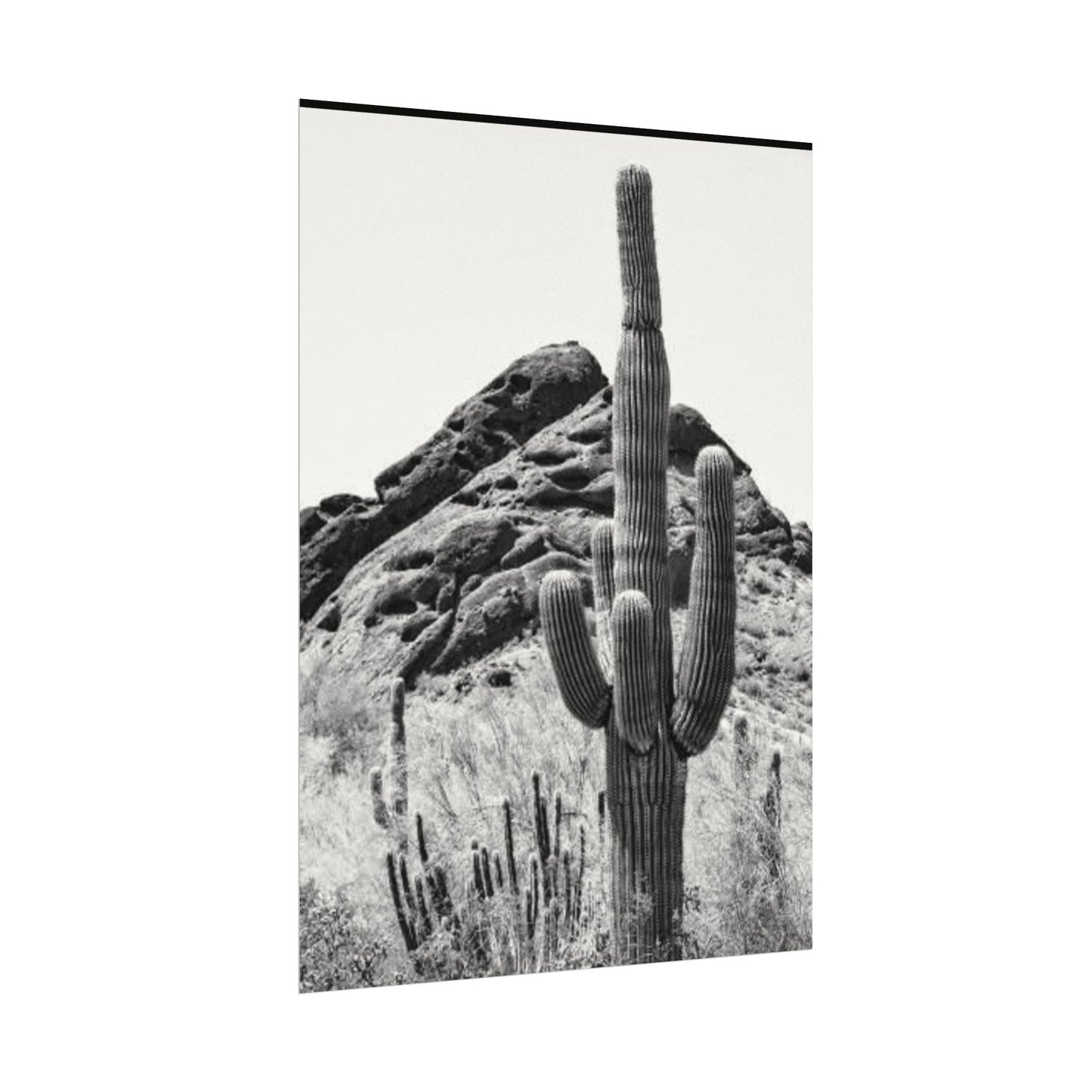 Reach For The Sky – Western Textured Watercolor Matte Posters