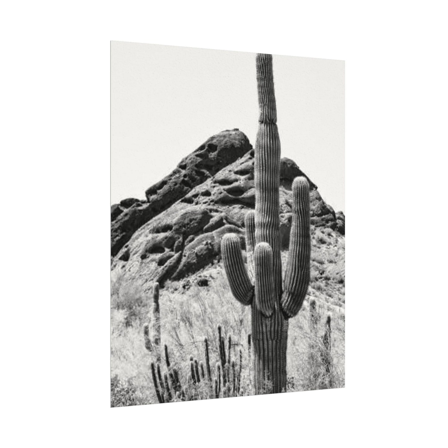 Reach For The Sky – Western Textured Watercolor Matte Posters