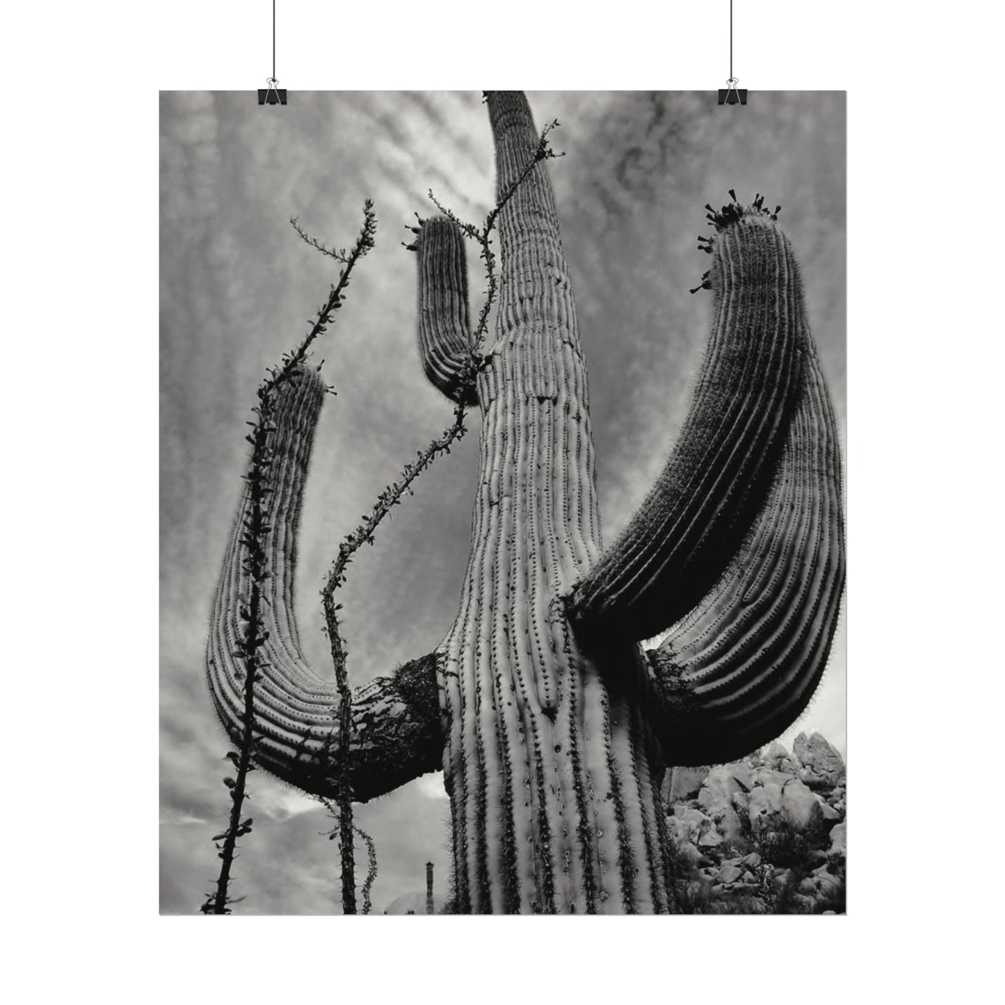 Desert Heights – Western Textured Watercolor Matte Posters