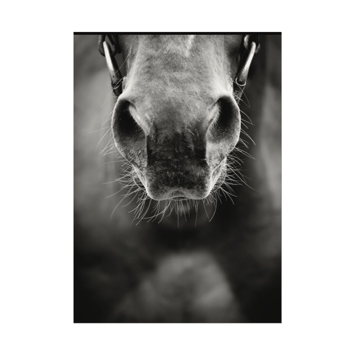 Be Patient Be Still – Western Textured Watercolor Matte Posters