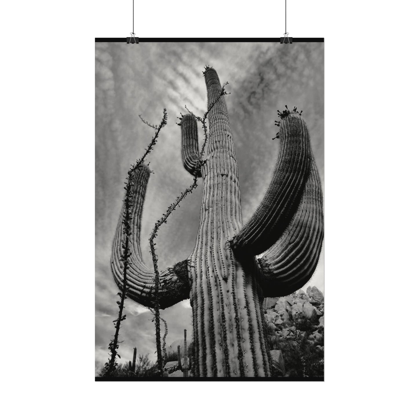 Desert Heights – Western Textured Watercolor Matte Posters