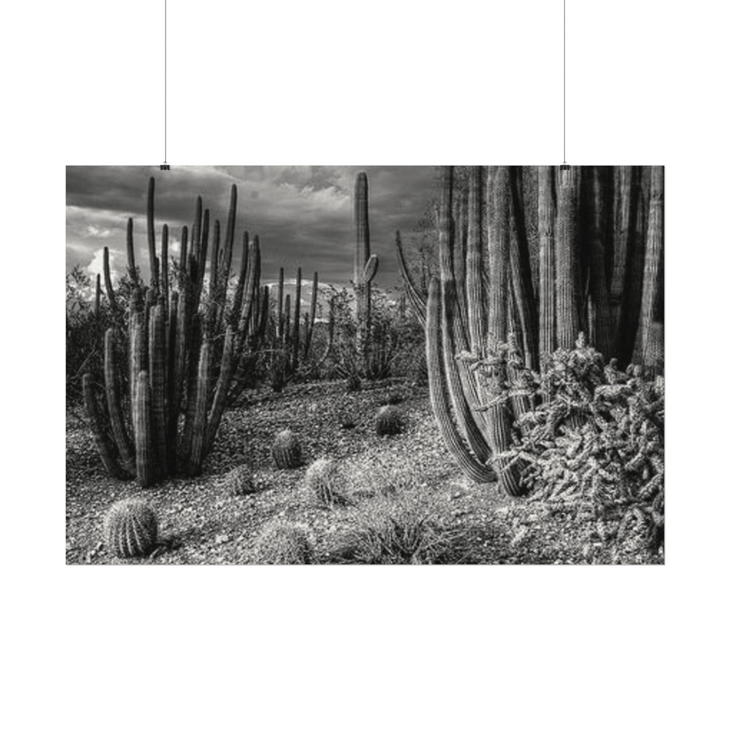 Desert Wastelands – Western Textured Watercolor Matte Posters