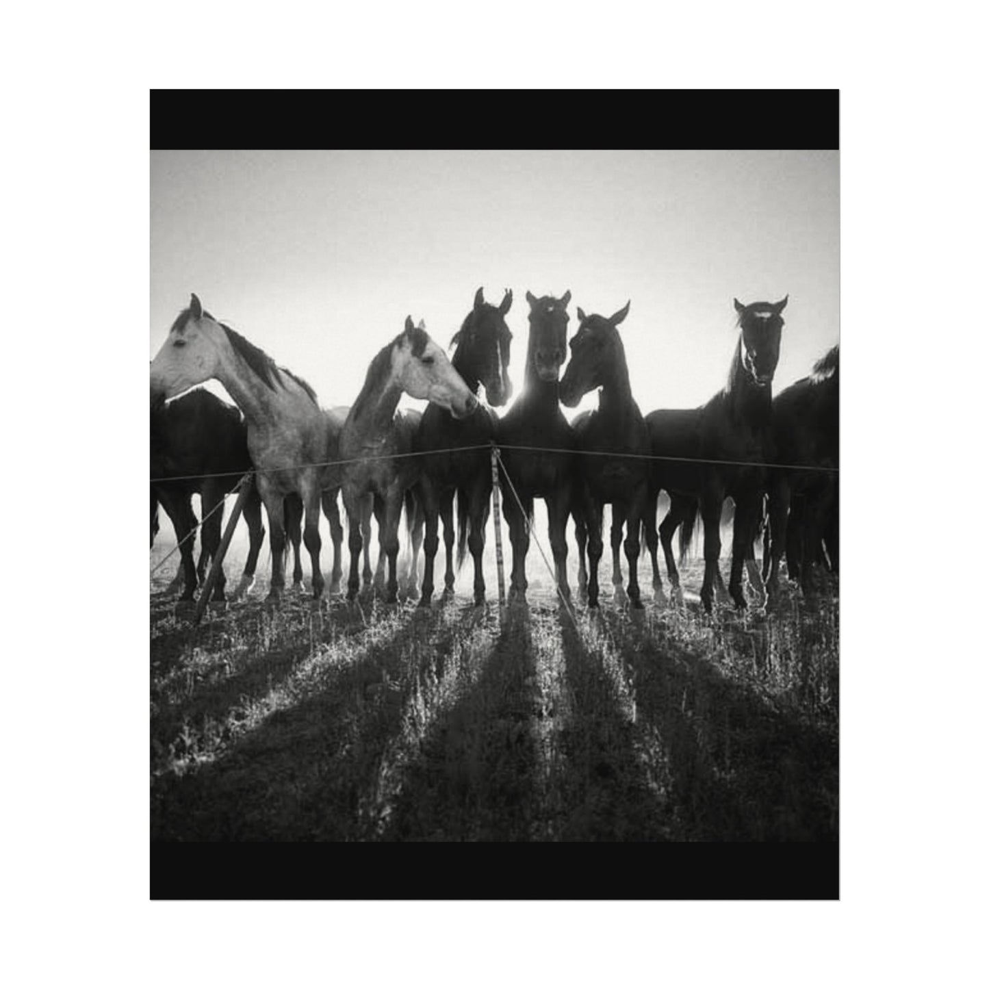 When Dawn Breaks – Western Textured Watercolor Matte Posters