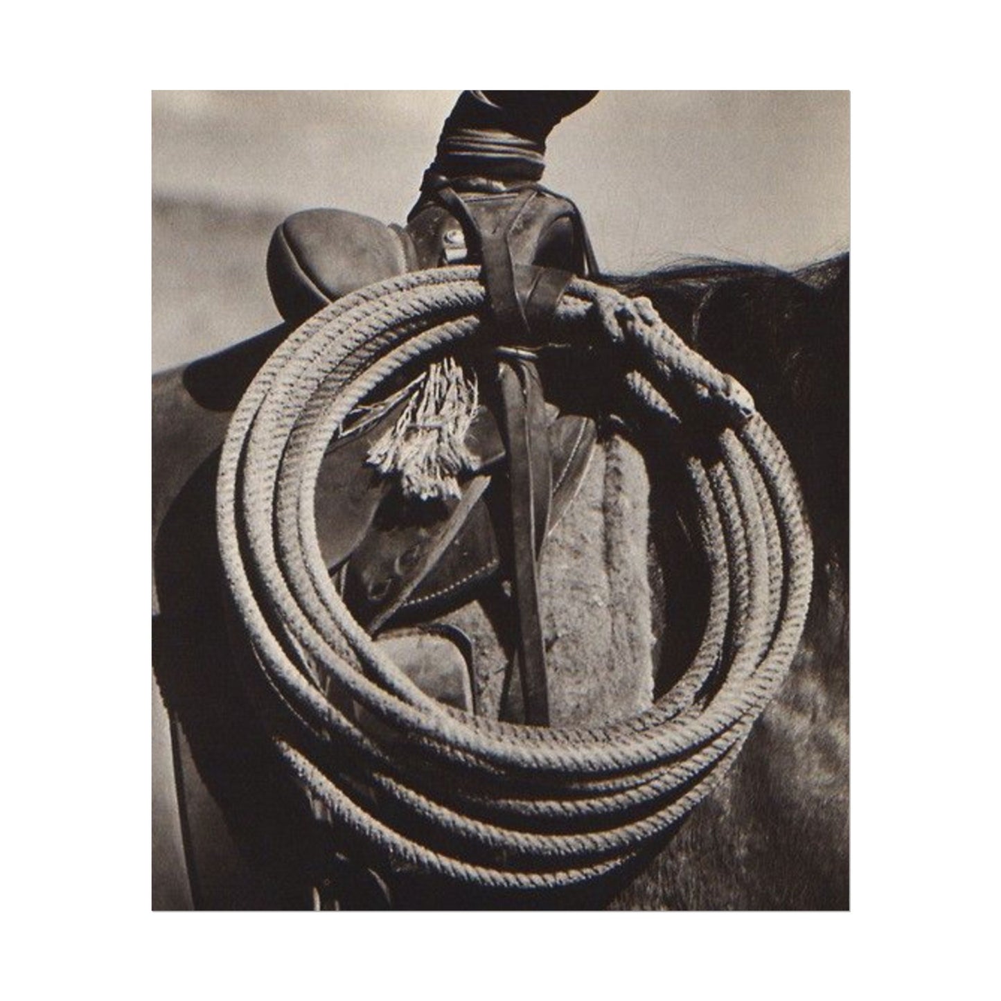 Rope & Leather – Western Textured Watercolor Matte Posters