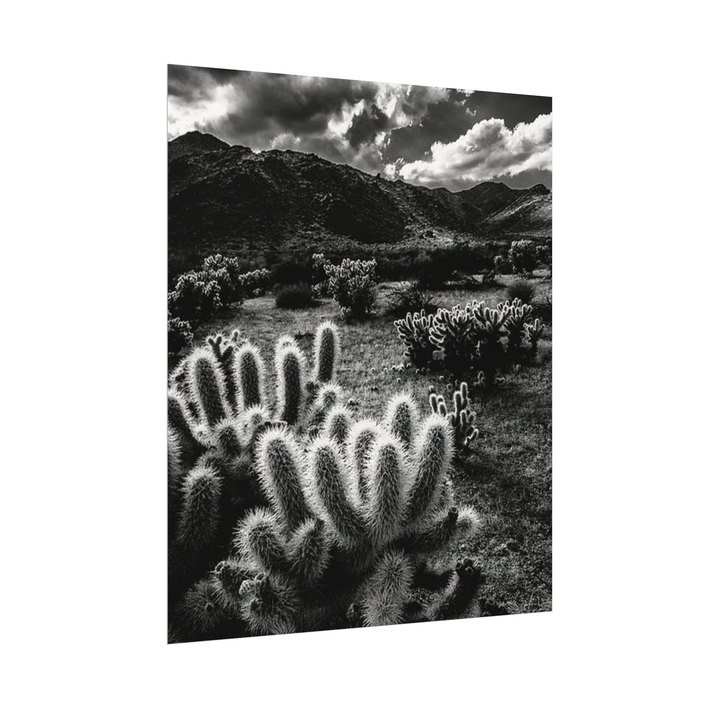 Western Desert Textured Watercolor Matte Posters