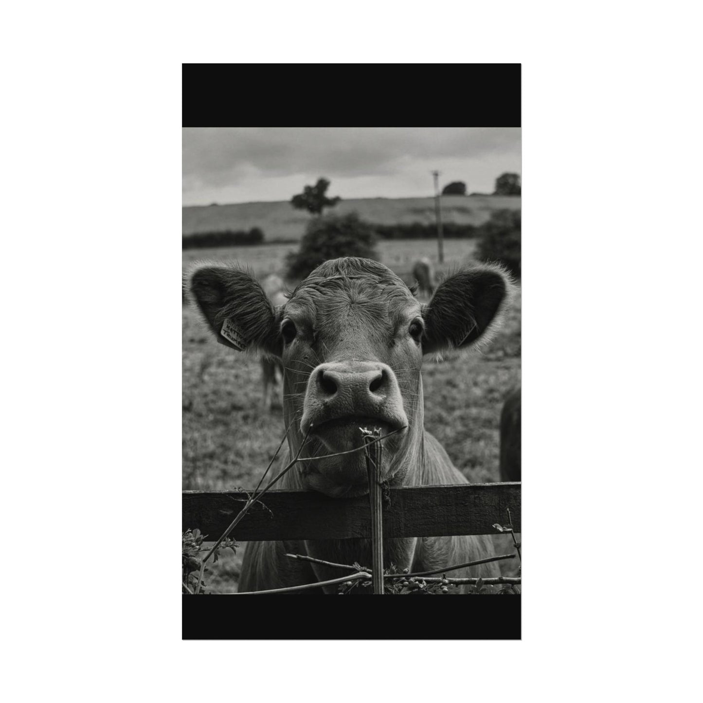 Rise & Shine – Western Textured Watercolor Matte Posters