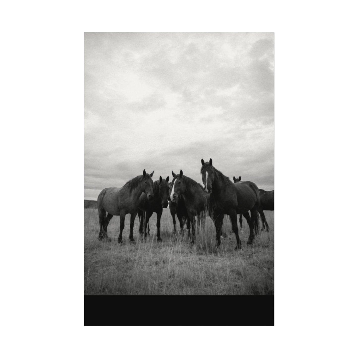 Unity In Numbers – Western Textured Watercolor Matte Posters