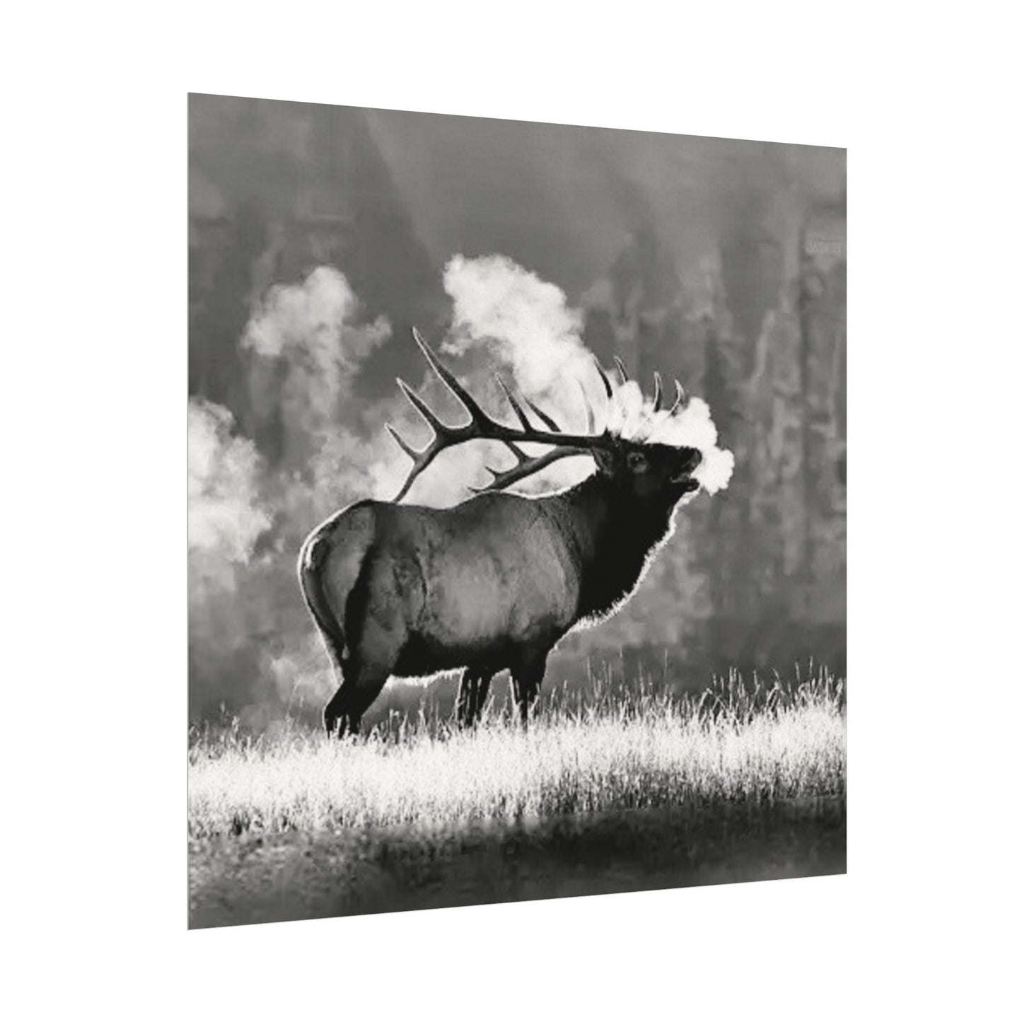 When Nature Calls– Western Textured Watercolor Matte Posters