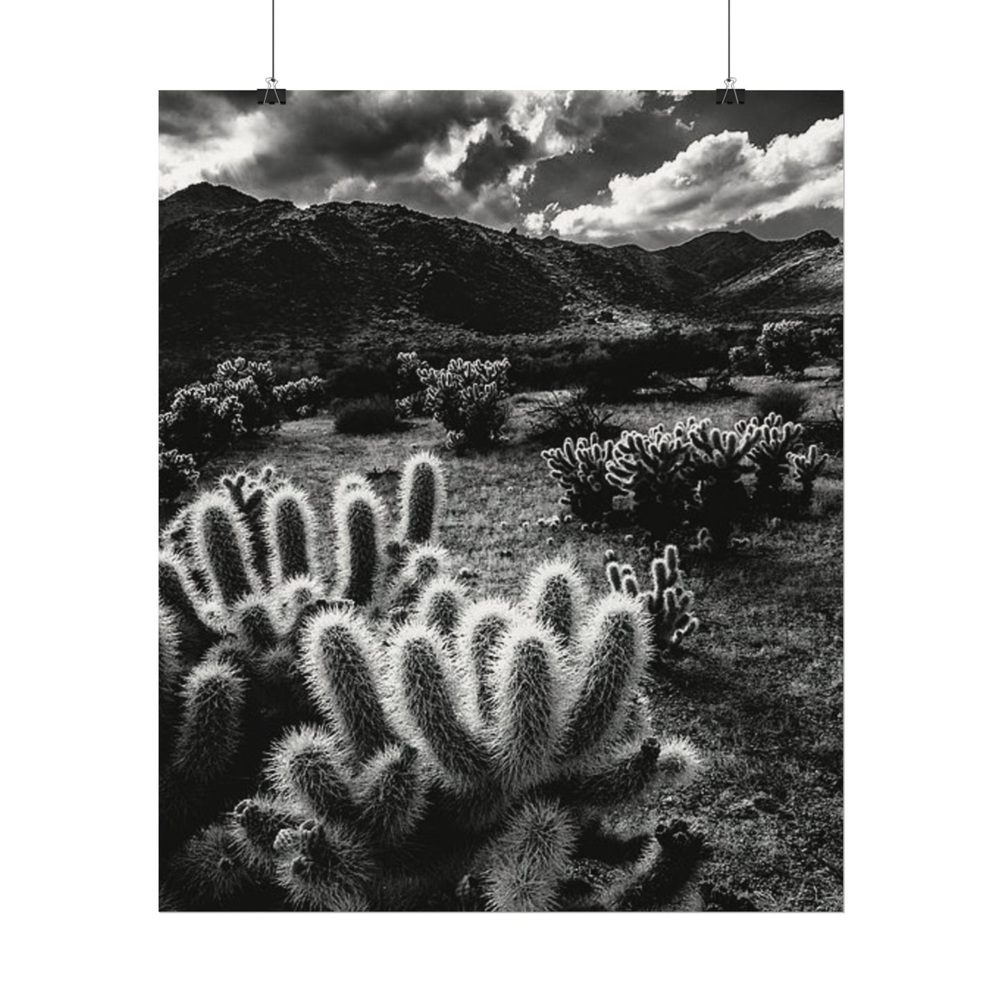 Western Desert Textured Watercolor Matte Posters