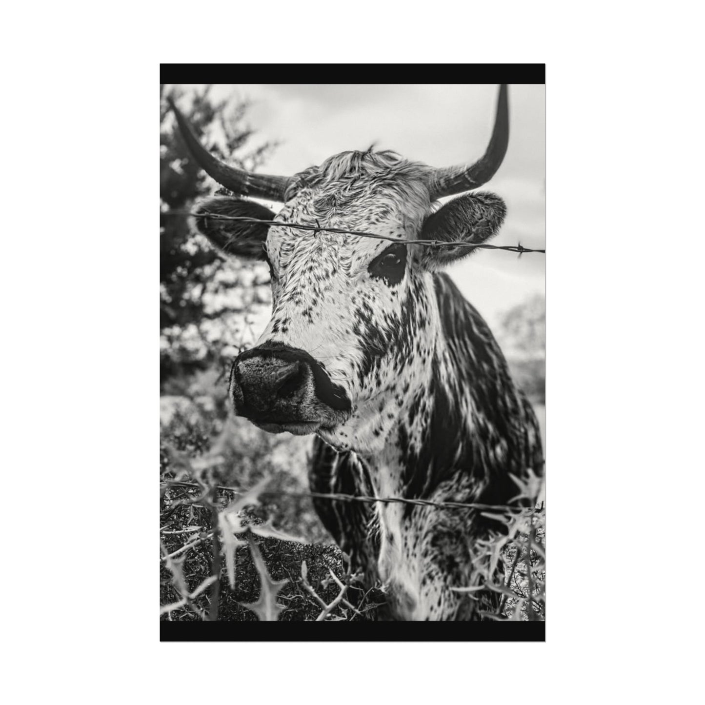 Barbed & Brave Western Textured Watercolor Matte Posters