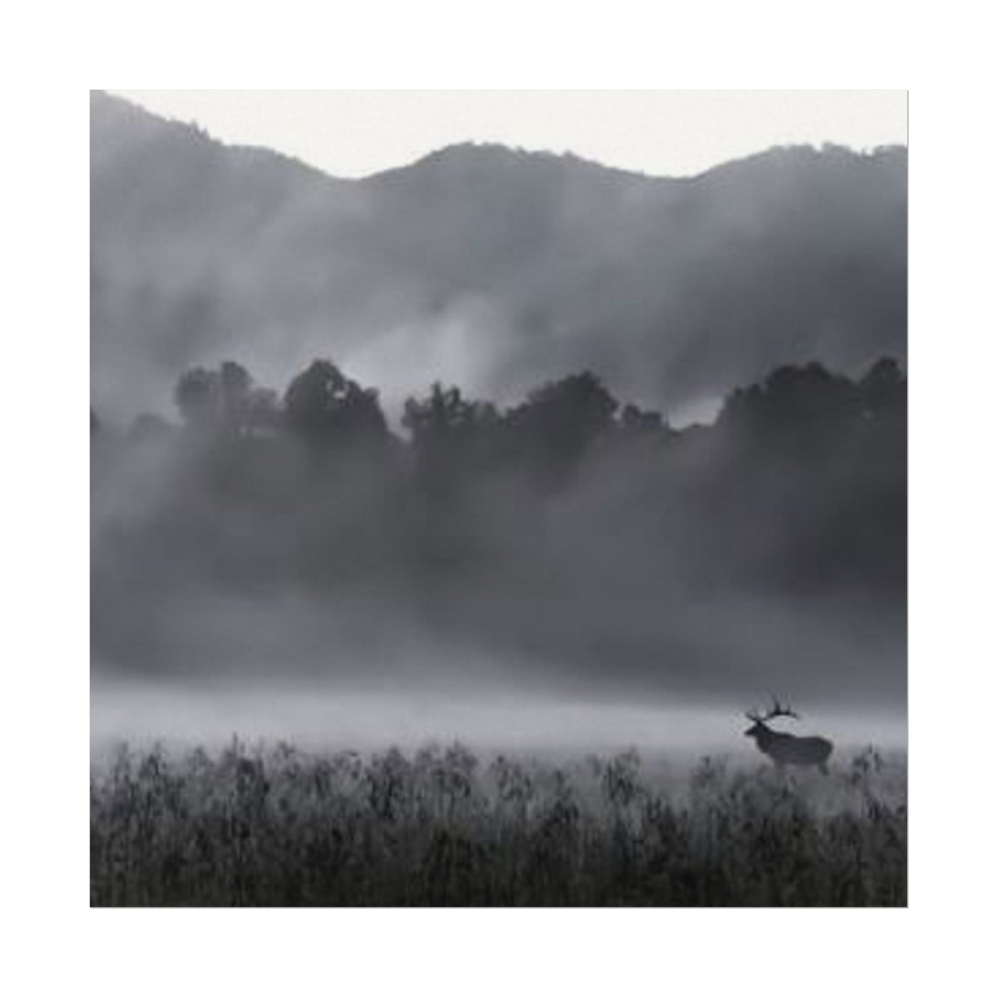 Foggy High Country– Western Textured Watercolor Matte Posters