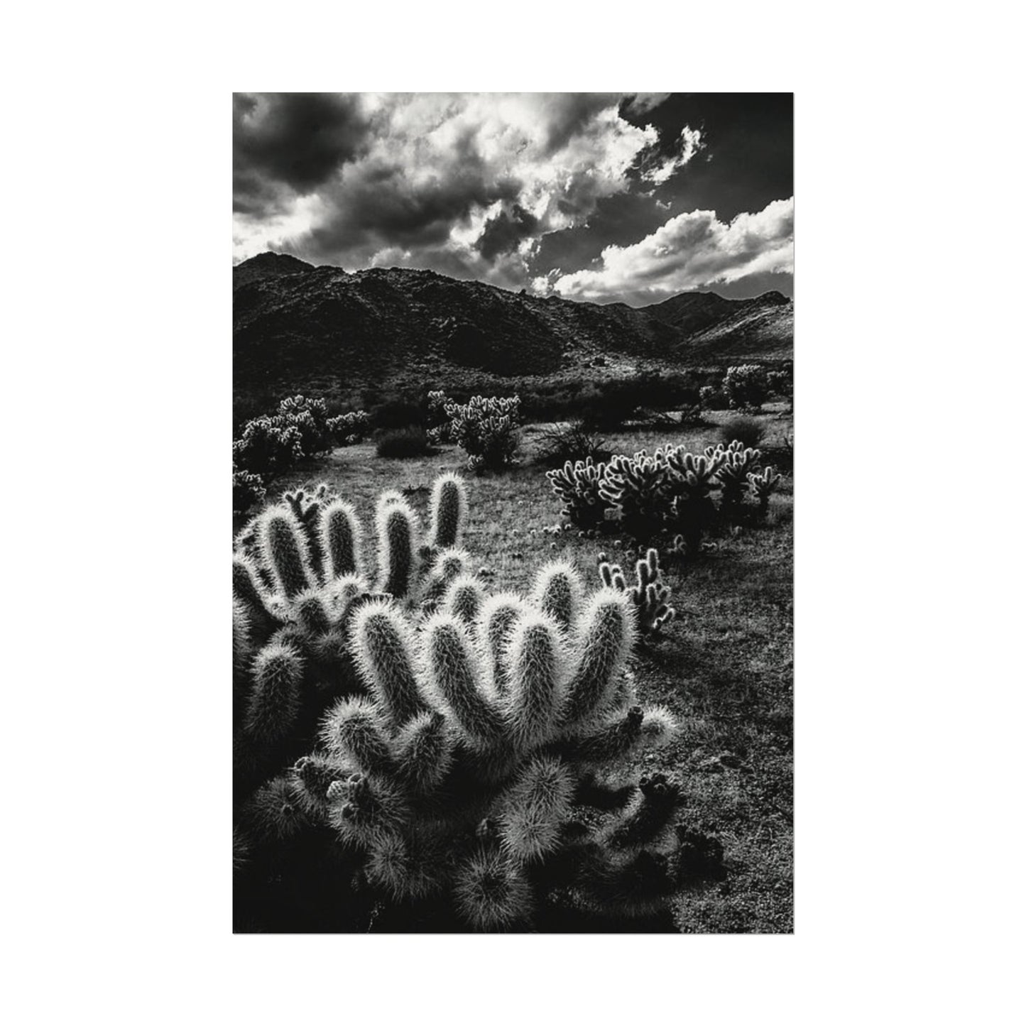 Western Desert Textured Watercolor Matte Posters