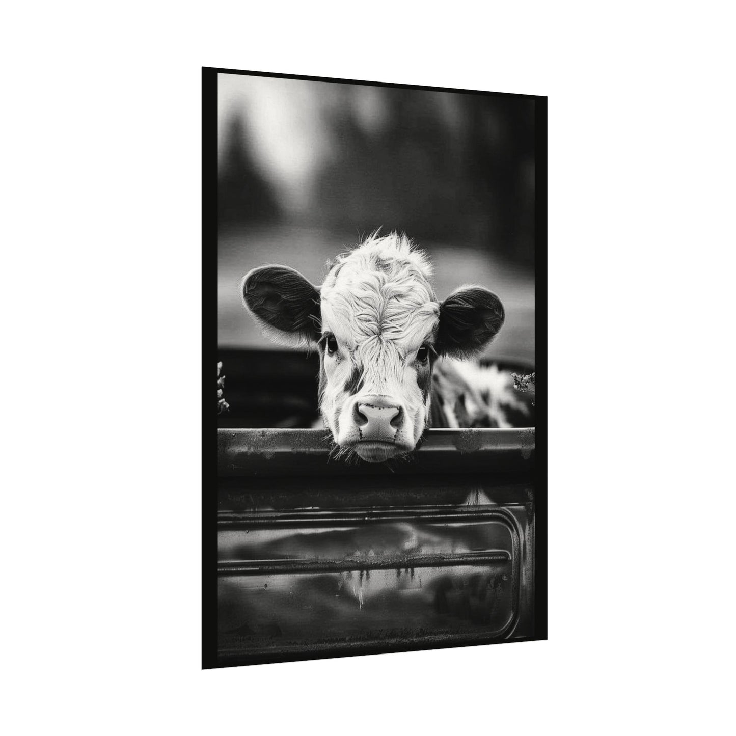 Back Seat Bovine – Western Textured Watercolor Matte Posters