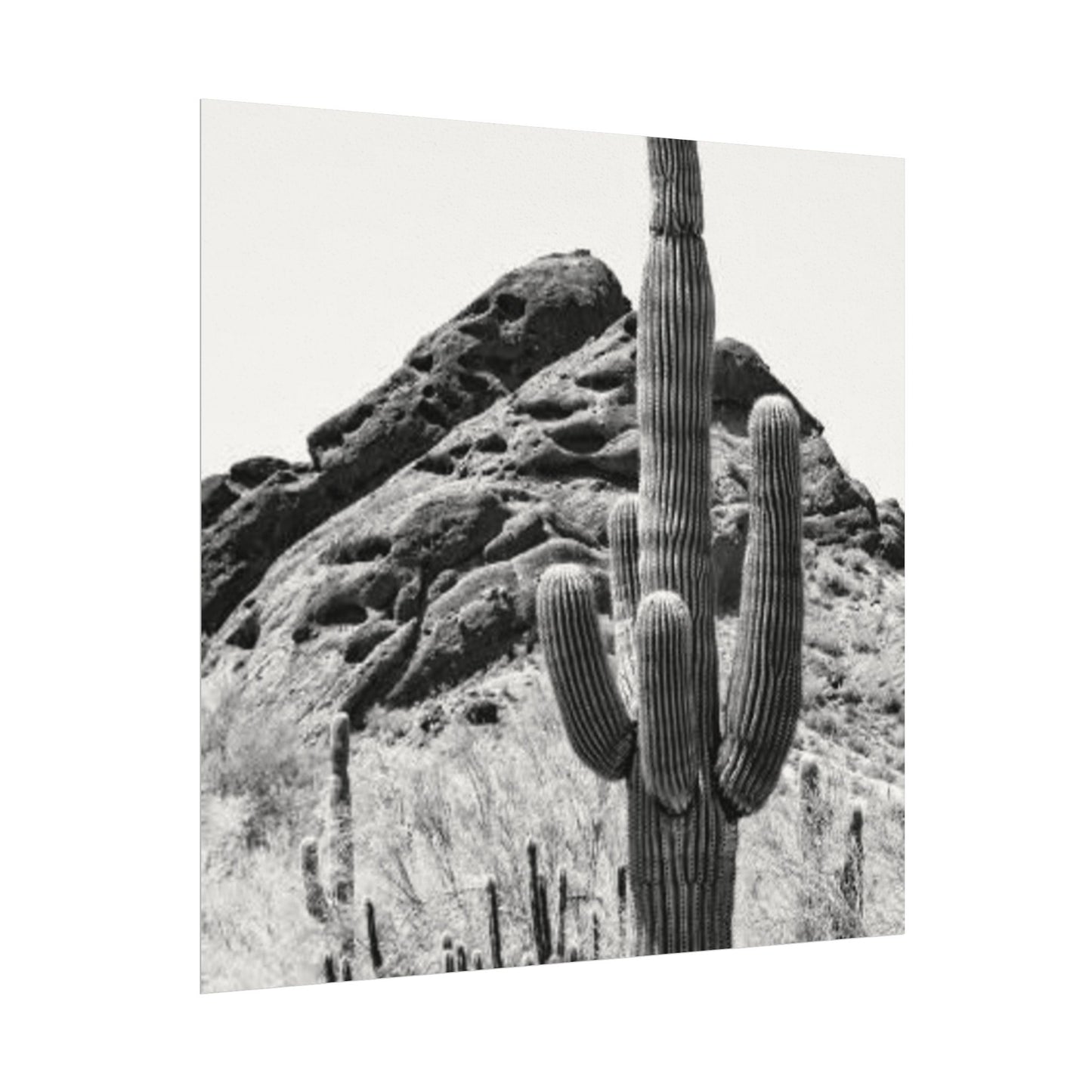 Reach For The Sky – Western Textured Watercolor Matte Posters