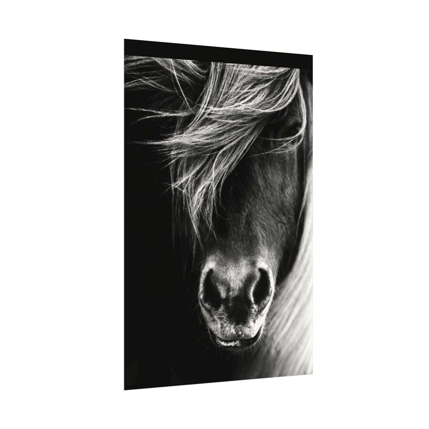 Wild Winds – Western Textured Watercolor Matte Posters