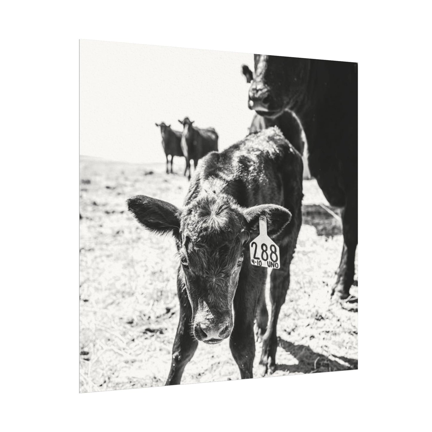 The Standing Legacy – Western Textured Watercolor Matte Posters