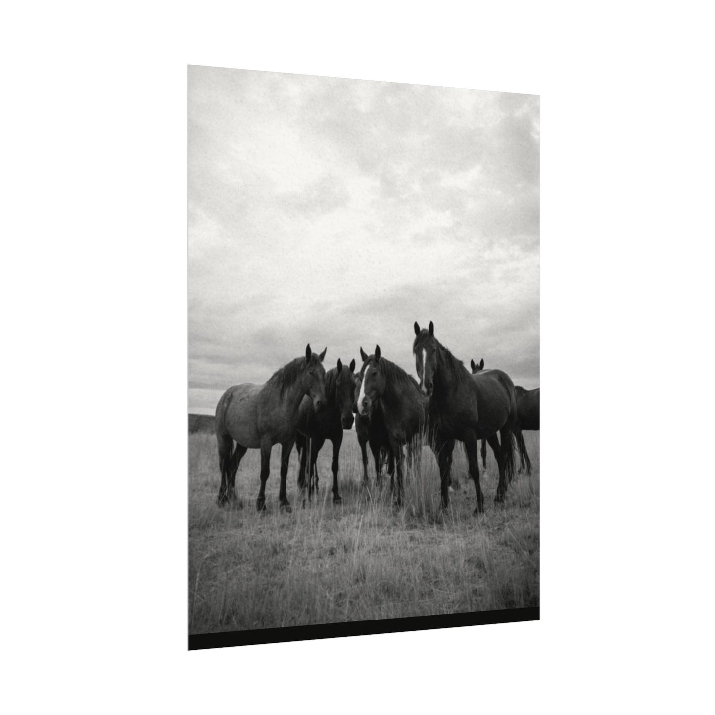 Unity In Numbers – Western Textured Watercolor Matte Posters