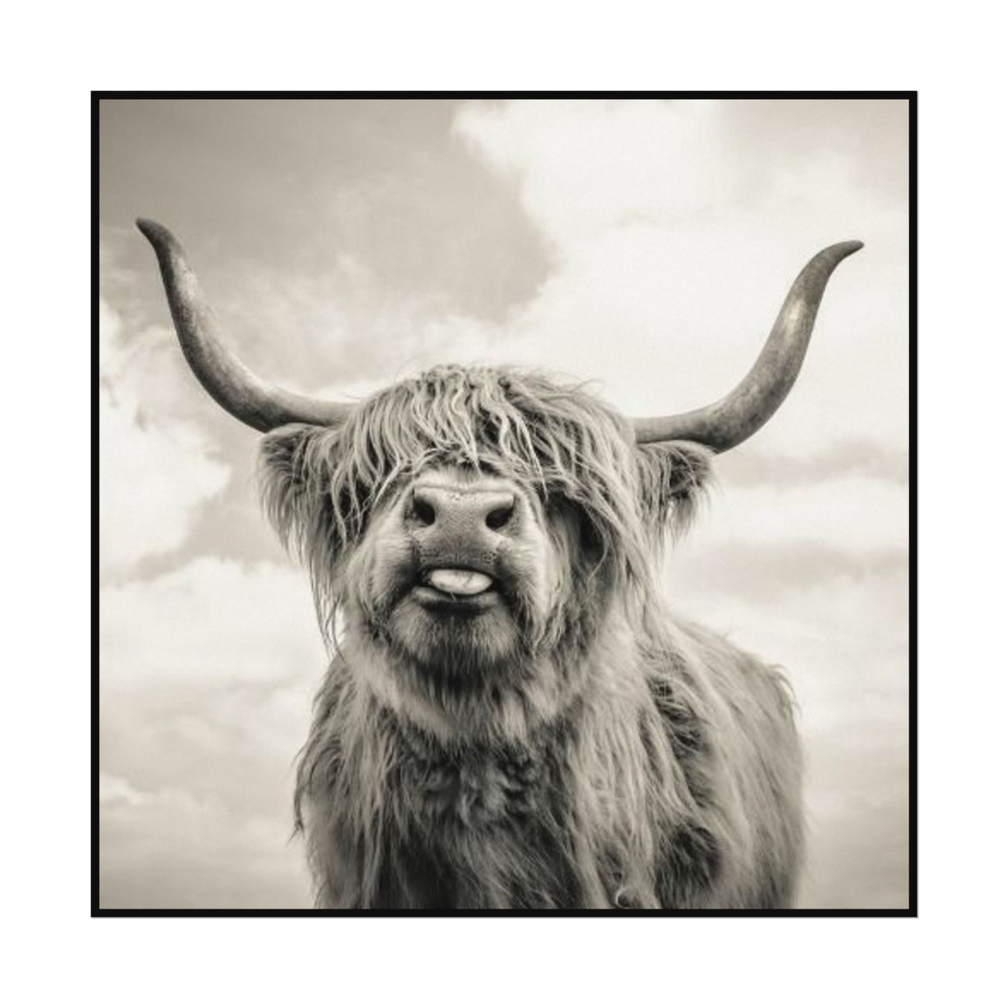 Highland Kisses – Western Textured Watercolor Matte Posters