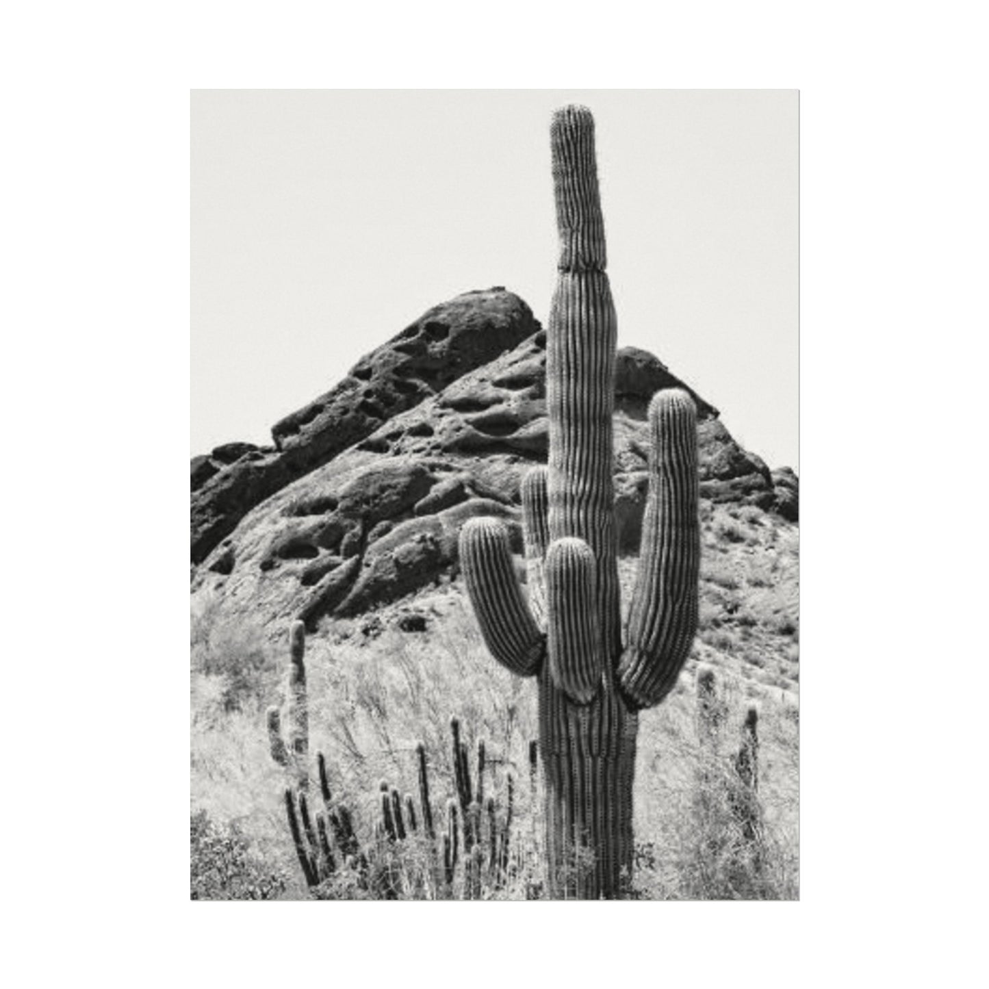 Reach For The Sky – Western Textured Watercolor Matte Posters