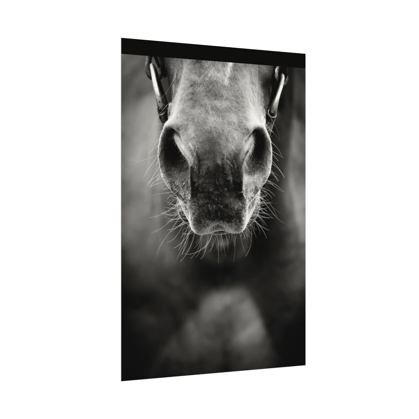 Be Patient Be Still – Western Textured Watercolor Matte Posters