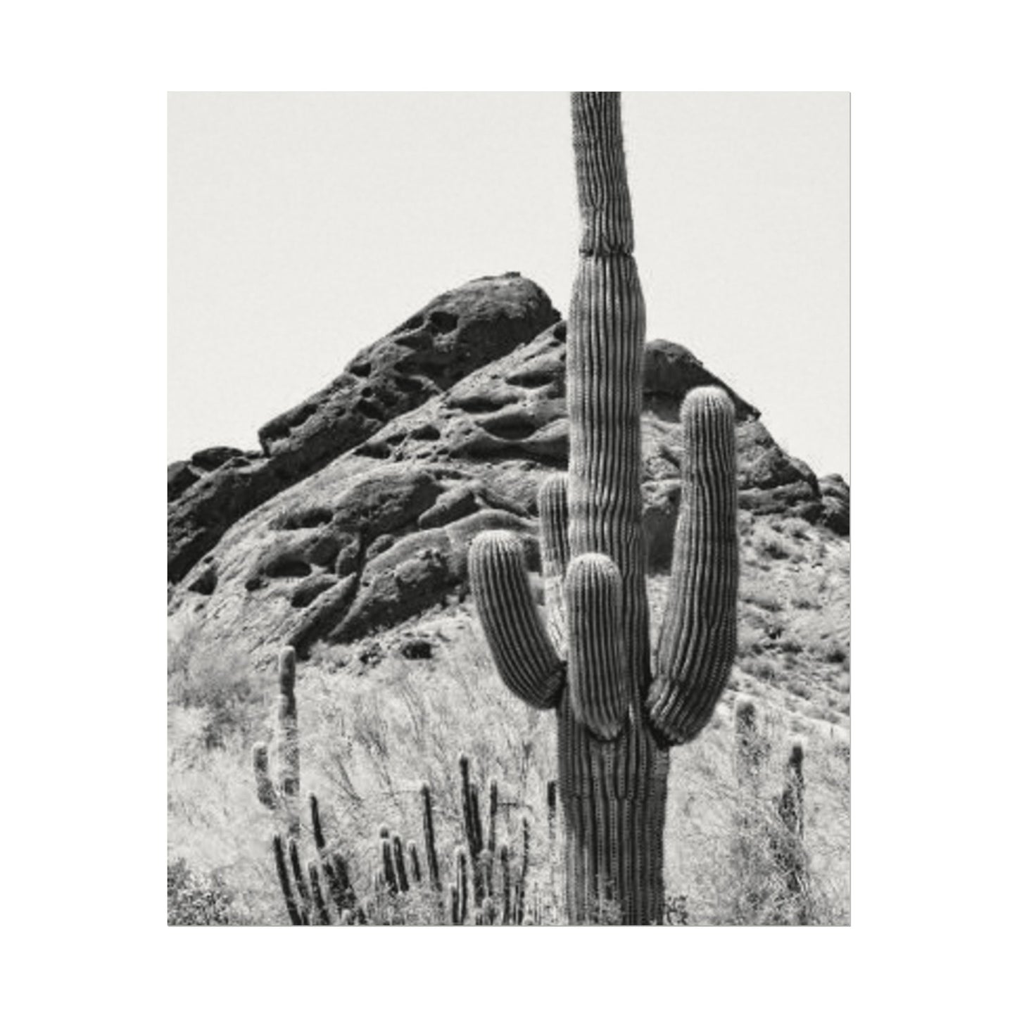 Reach For The Sky – Western Textured Watercolor Matte Posters