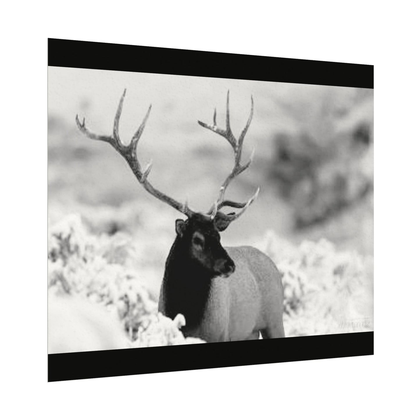 Majesty Of The North– Western Textured Watercolor Matte Posters