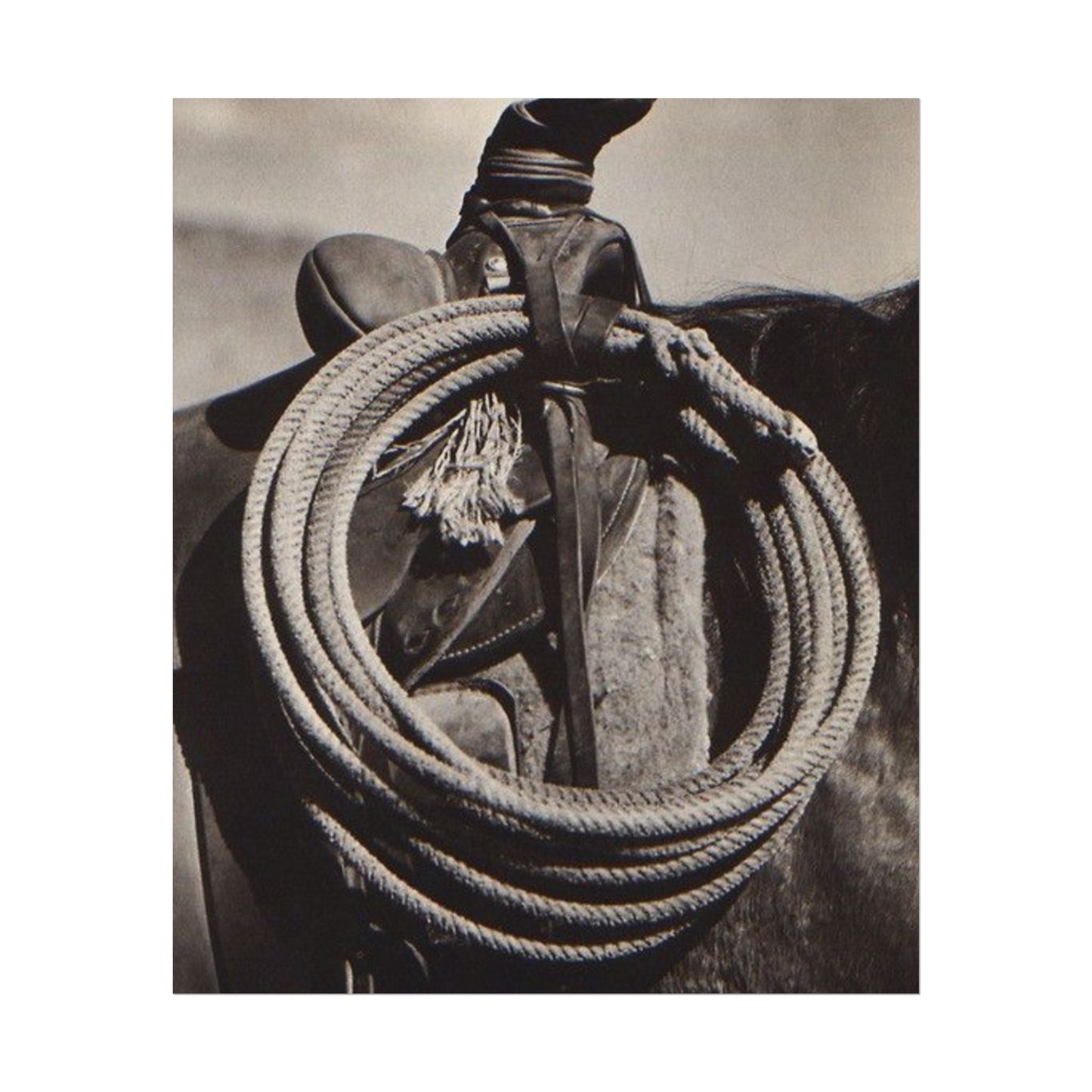 Rope & Leather – Western Textured Watercolor Matte Posters