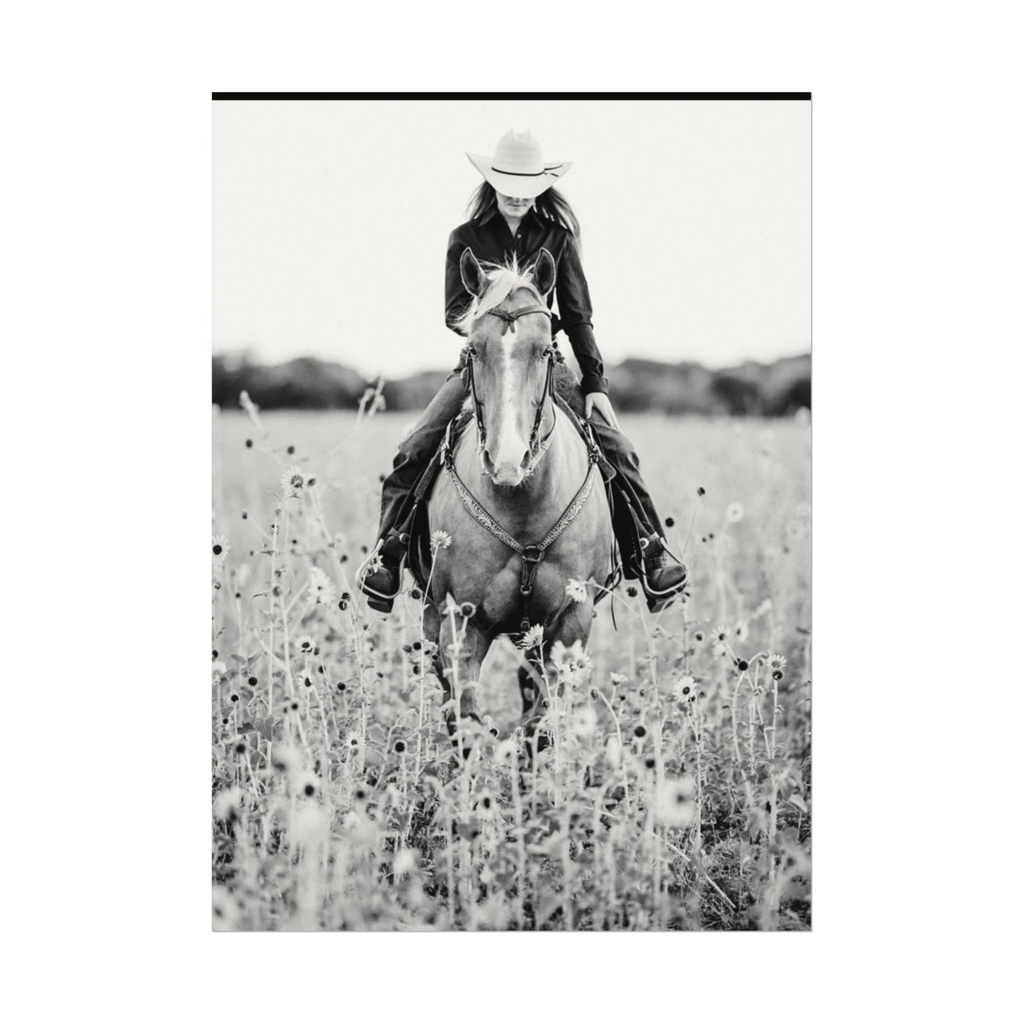 Summer Fields – Western Textured Watercolor Matte Posters