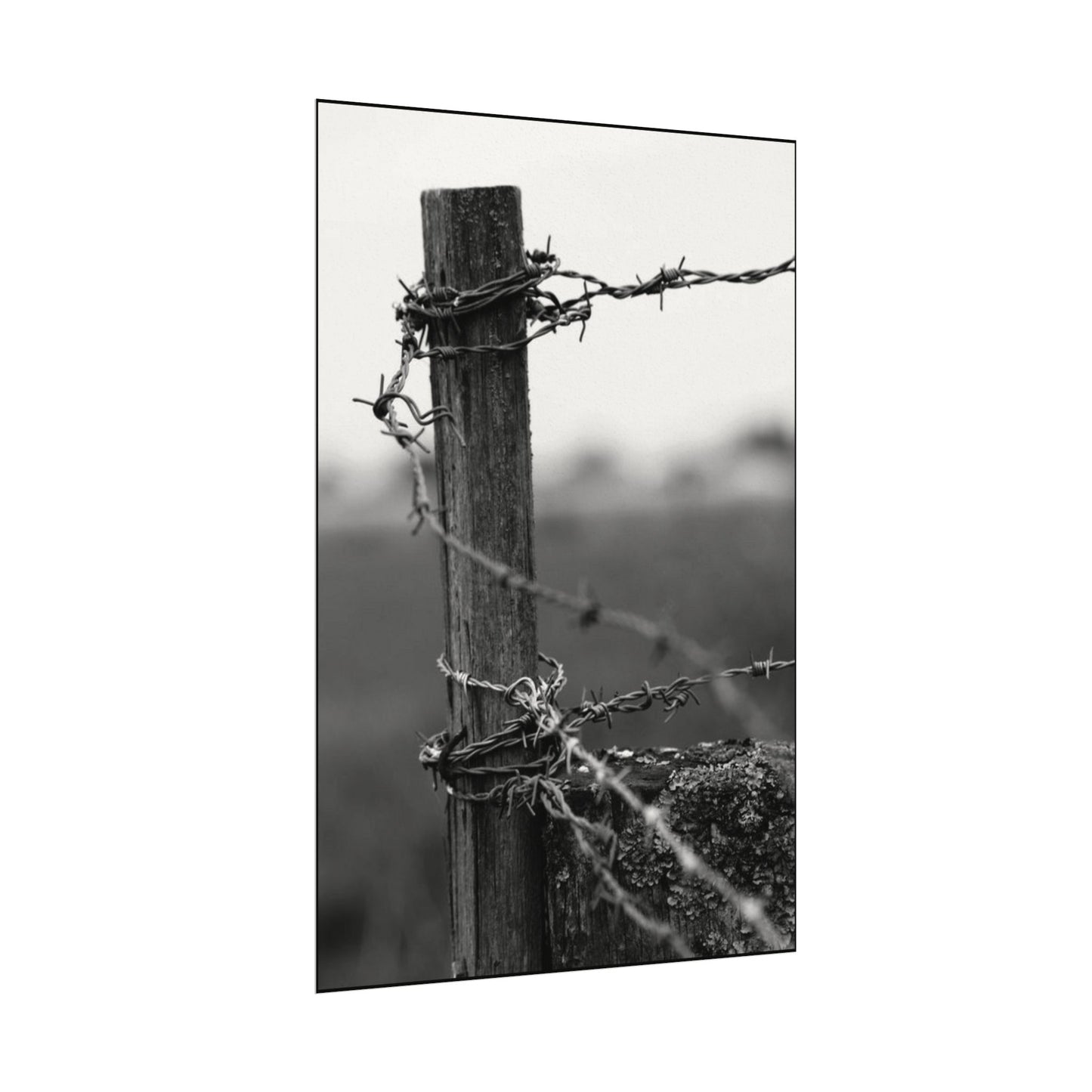 Tough As Nails – Western Textured Watercolor Matte Posters