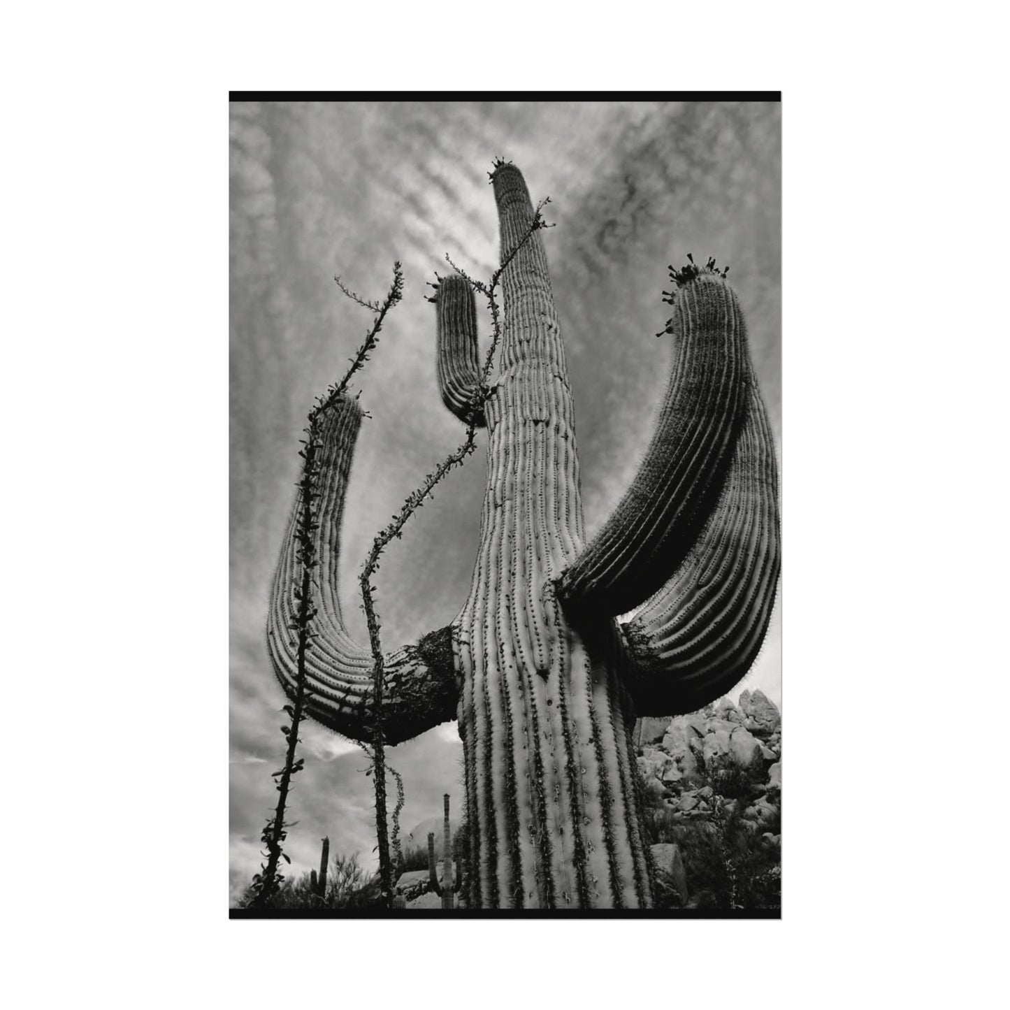 Desert Heights – Western Textured Watercolor Matte Posters