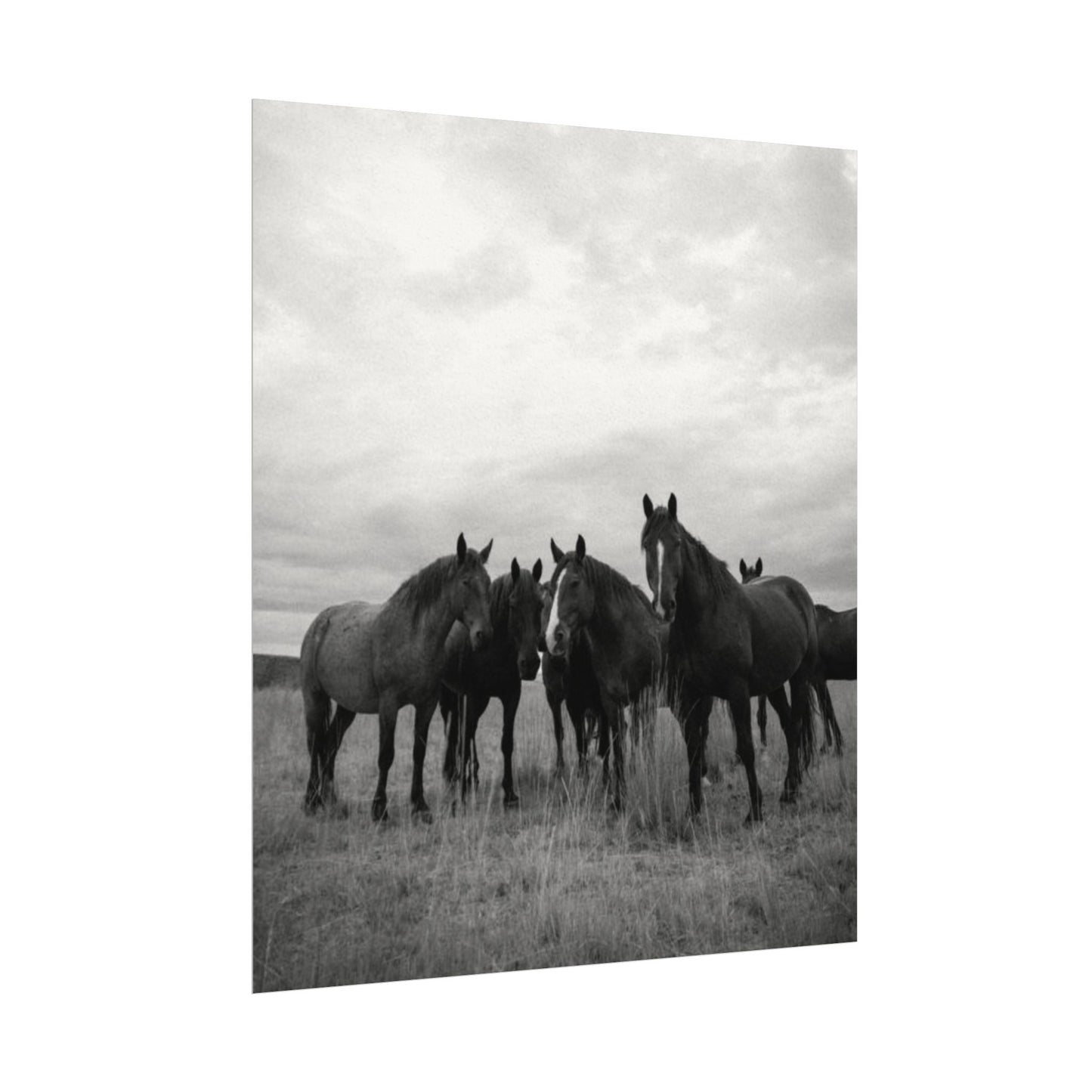 Unity In Numbers – Western Textured Watercolor Matte Posters