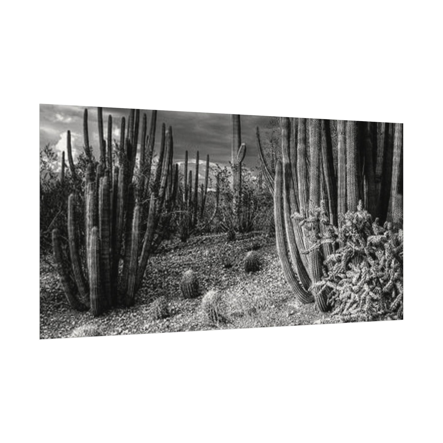 Desert Wastelands – Western Textured Watercolor Matte Posters