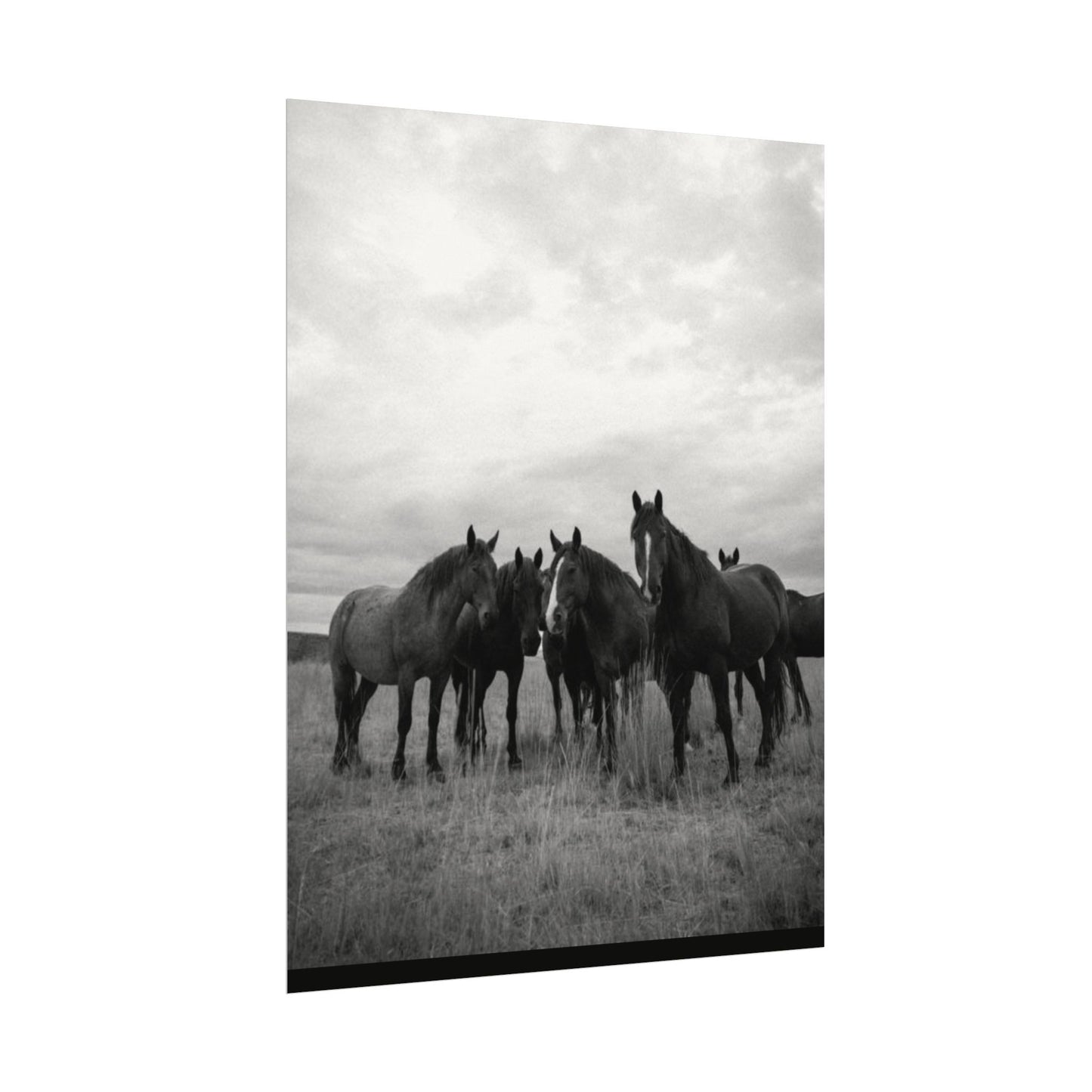 Unity In Numbers – Western Textured Watercolor Matte Posters