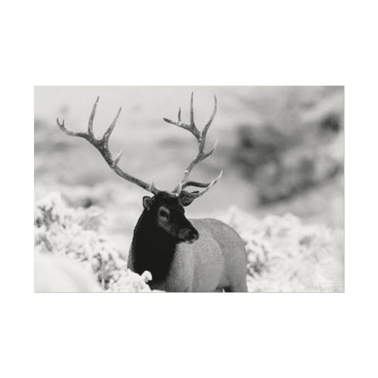 Majesty Of The North– Western Textured Watercolor Matte Posters