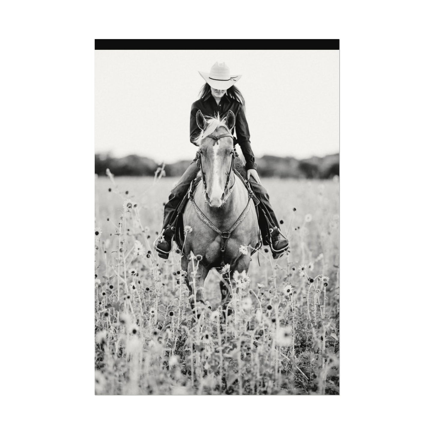 Summer Fields – Western Textured Watercolor Matte Posters