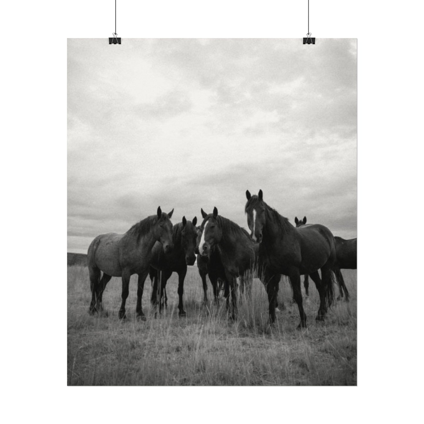 Unity In Numbers – Western Textured Watercolor Matte Posters