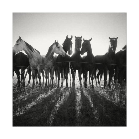 When Dawn Breaks – Western Textured Watercolor Matte Posters