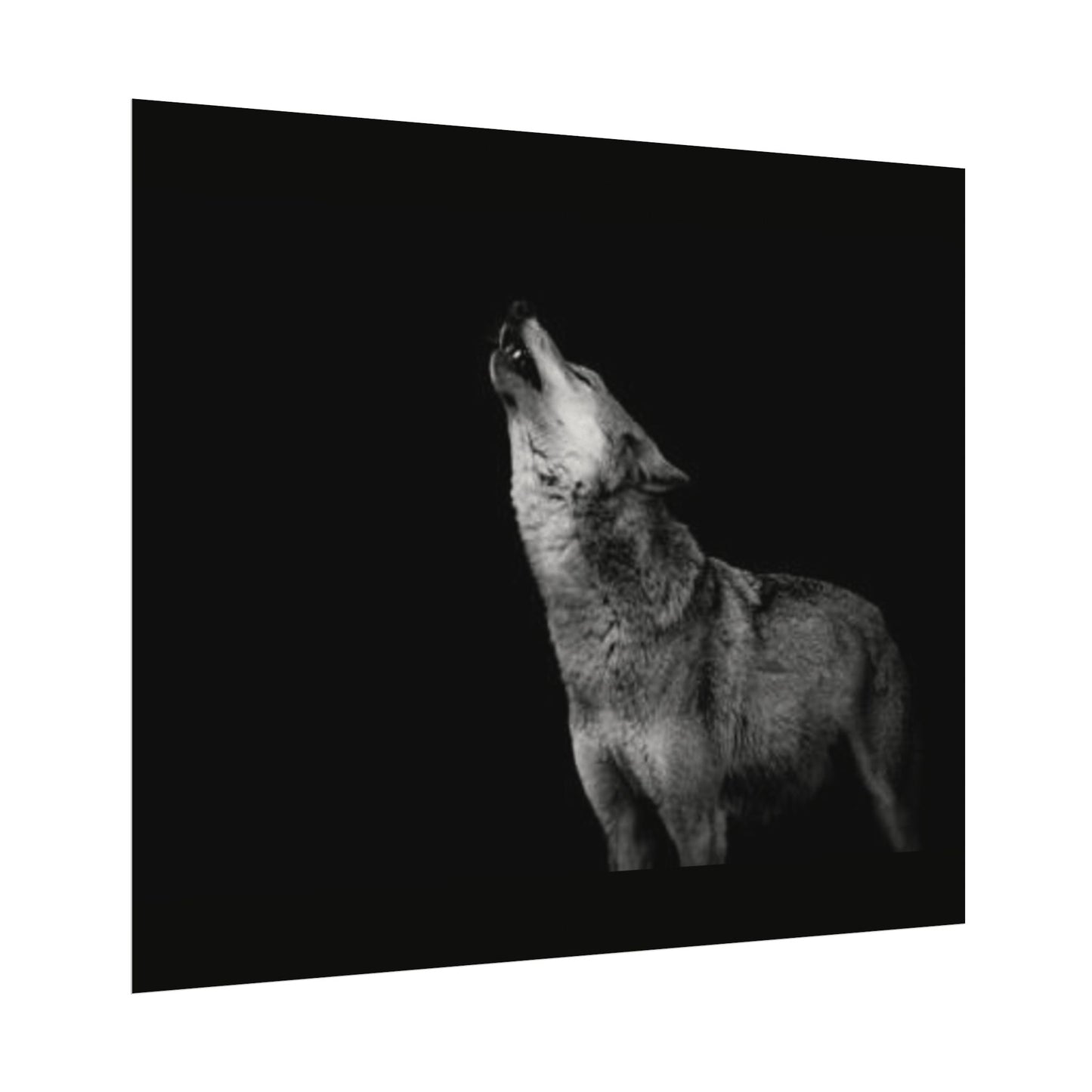 Howling At The Moon– Western Textured Watercolor Matte Posters